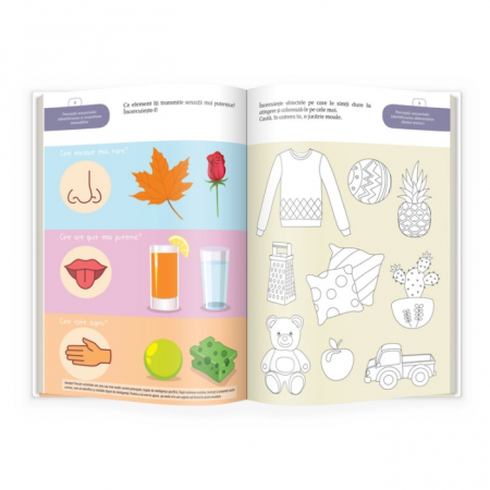 CQ.3 ani, MultiQ [3]