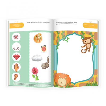 CQ.4 ani, MultiQ [3]