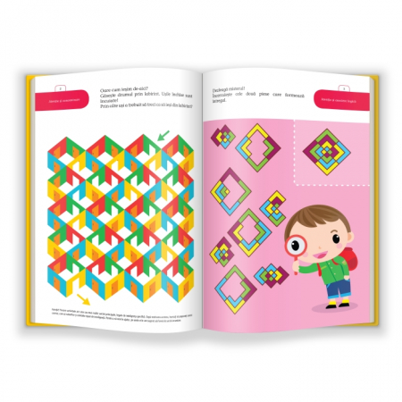 IQ.5 ani, MultiQ [3]