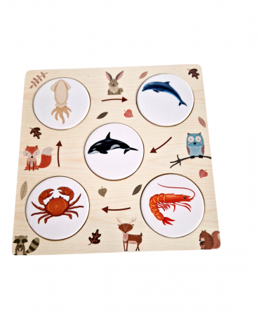 Joc educativ Cine vaneaza pe cine -food chain [1]