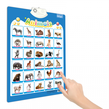 Postere Interactive in Limba Engleza - Diverse modele [5]