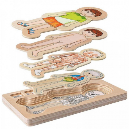 Puzzle din lemn in 5 straturi, anatomie a corpului uman, Baiat, 29x16.5x2cm [0]