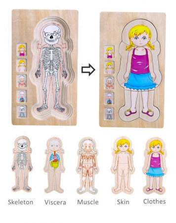 Puzzle din lemn in 5 straturi, anatomie a corpului uman, Fata, 29x16.5x2cm [0]