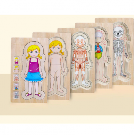 Puzzle din lemn in 5 straturi, anatomie a corpului uman, Fata, 29x16.5x2cm [6]