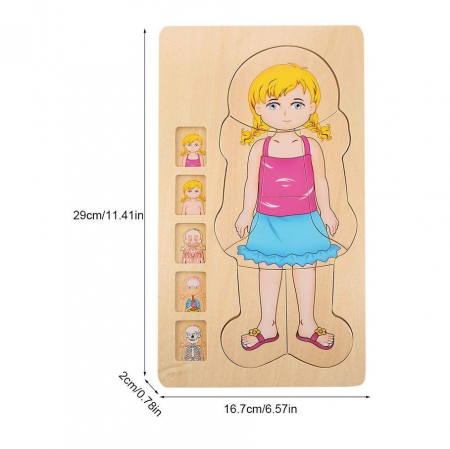 Puzzle din lemn in 5 straturi, anatomie a corpului uman, Fata, 29x16.5x2cm [1]