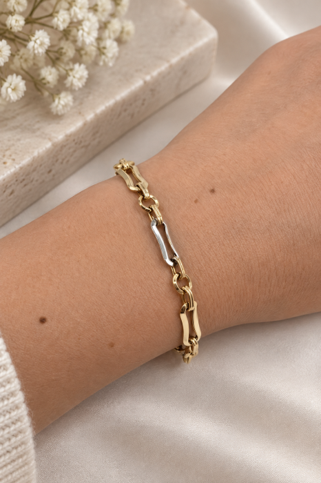Brățară din Aur 14K Bicolor cu Verigi Elegante [2]