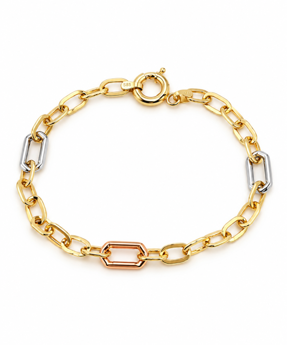 Brățară din Aur 14K cu Design Tricolor și Zale Tip Paperclip [1]