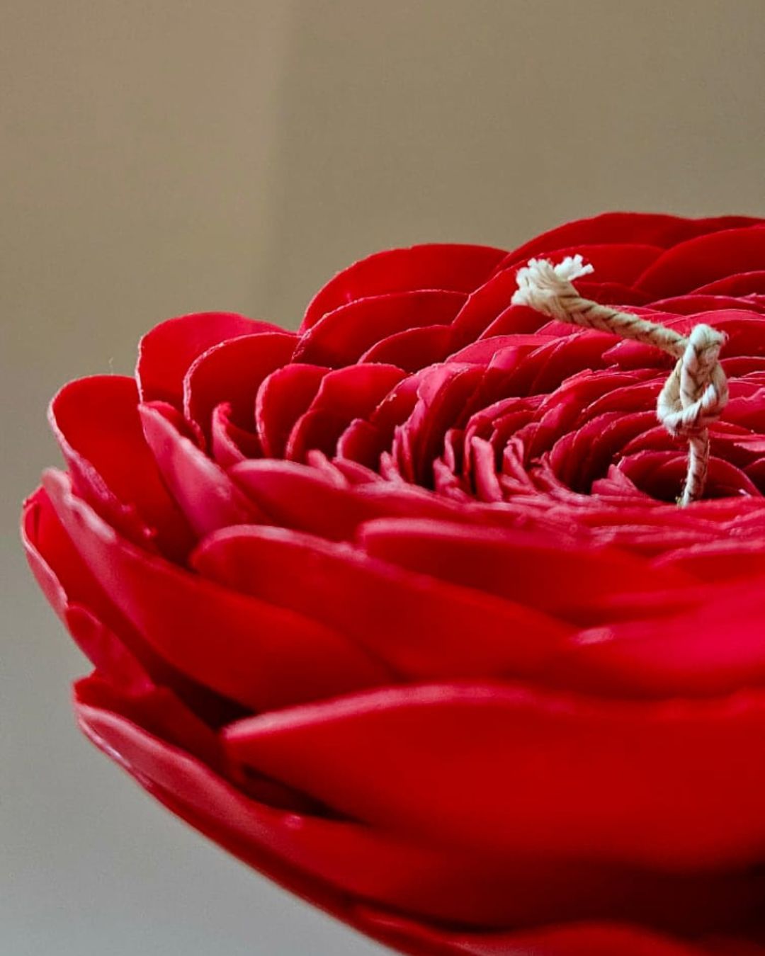 Wax flowers, sculpted petal by petal, first-ever collections by 禄 SHIRO.The brand.
