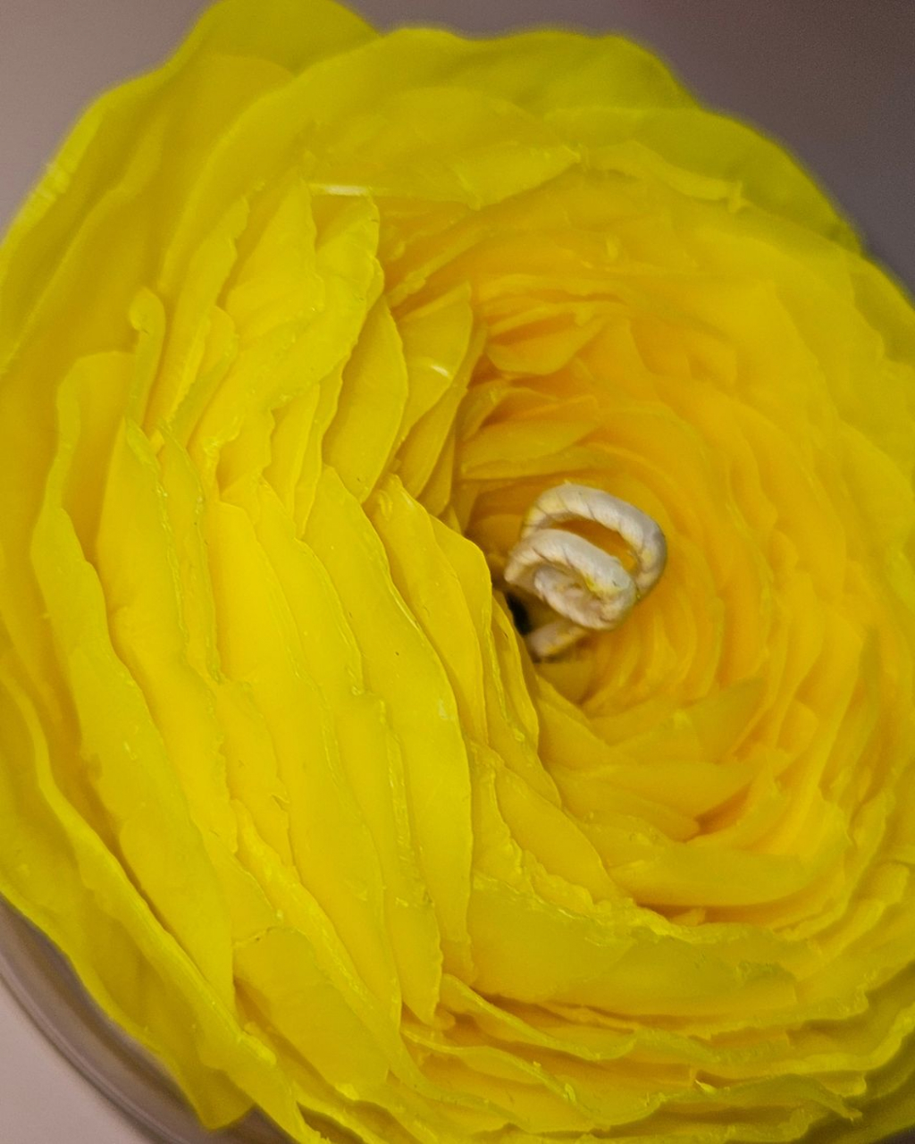 lumanare-ranunculus-galben-ceara-naturala-albine-fitil-tcr-aroma-naturala [2]