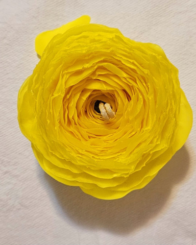 Universul colecțiilor - lumanare-ranunculus-galben-ceara-naturala-albine-fitil-tcr-aroma-naturala