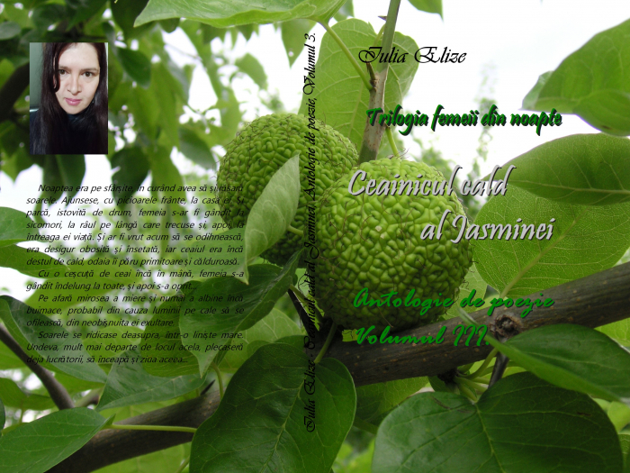 Iulia Elize - ”Ceainicul cald al Jasminei” (Trilogia femeii din noapte, Vol. III.) [3]