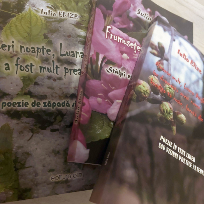 Trilogia ”Luanei”, ”Cărțile zăpezii”, pachet de trei cărți ample... [2]