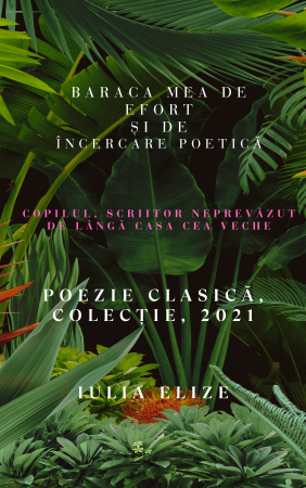 Categoria totala - Iulia Elize - ”Baraca mea de încercare poetică (Copilul, scriitor neprevăzut de lângă casa cea veche)”