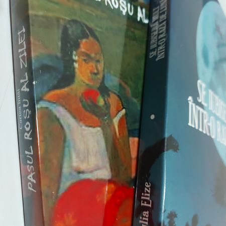 Pachet de carte - Pachet ”Laura” - ”Pasul roșu al zilei” și continuarea, un roman fluviu...