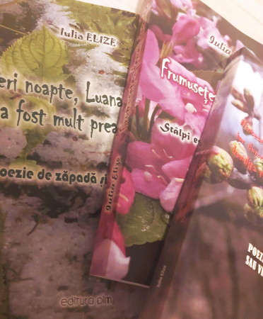 Pachet de carte - Trilogia ”Luanei”, ”Cărțile zăpezii”, pachet de trei cărți ample...