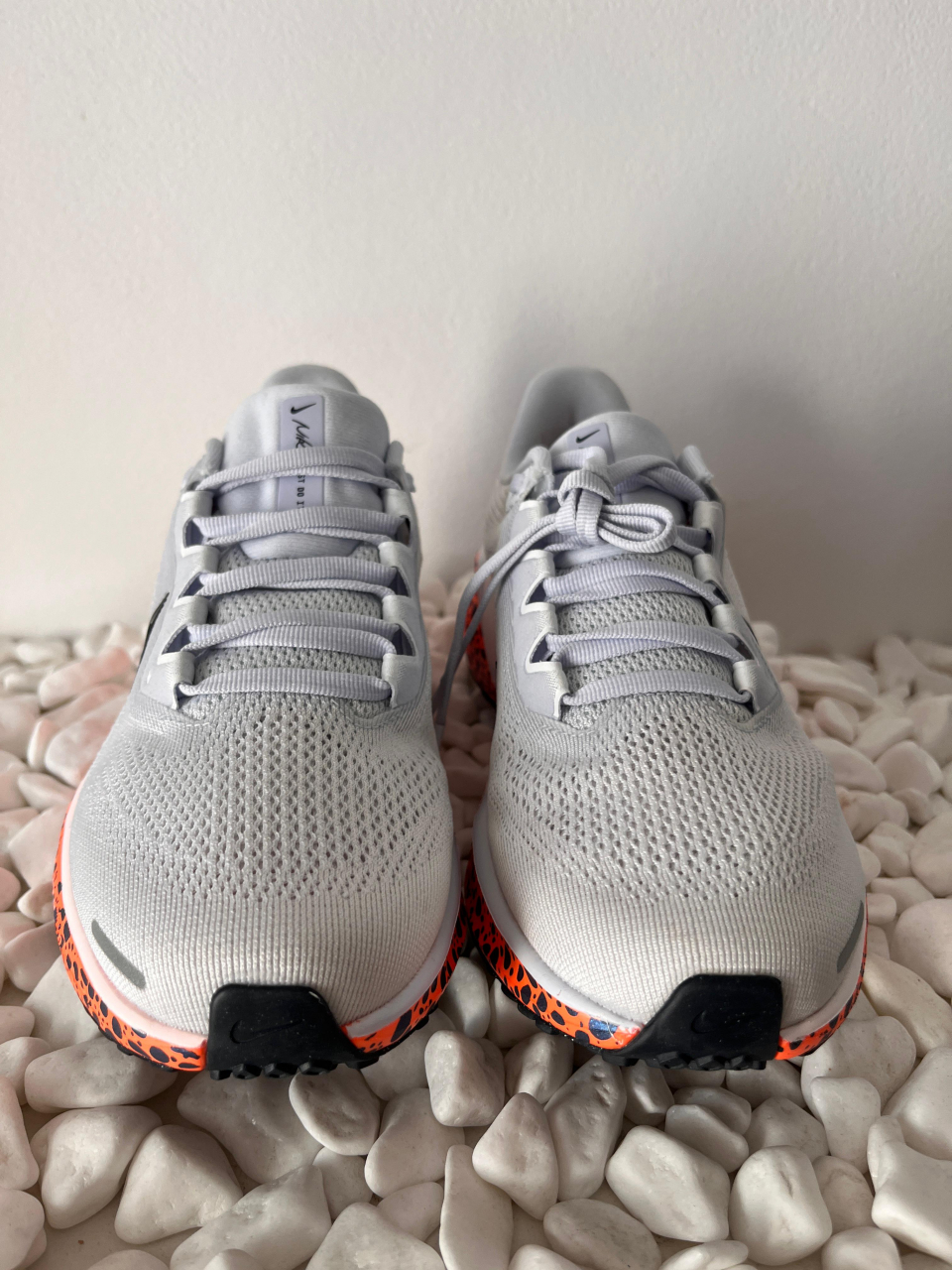 Nike Pegasus Electric [3]