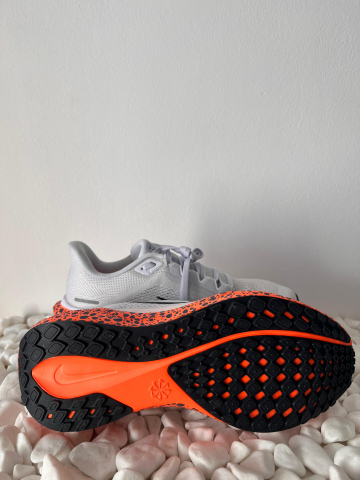 Nike Pegasus Electric [1]