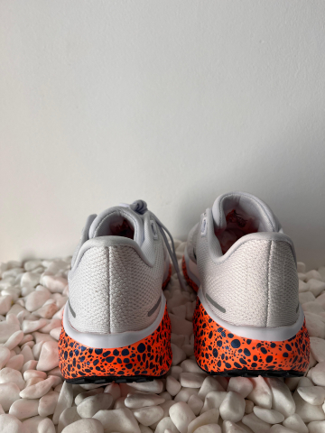 Nike Pegasus Electric [3]