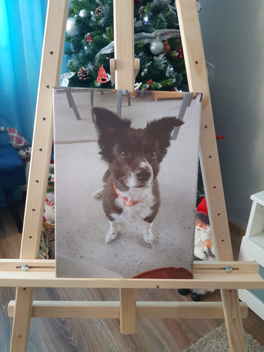 Tablou Canvas Personalizat [8]