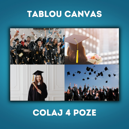 TABLOURI CANVAS - Tablou Canvas - Colaj 4 poze