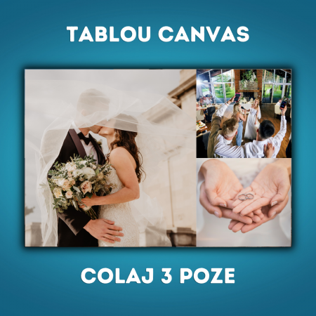 TABLOURI CANVAS - Tablou Canvas - Colaj 3 poze
