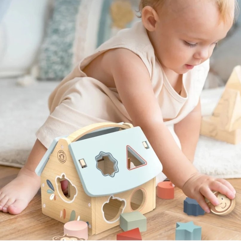 Top 5: Jocuri de sortare pentru copii mici