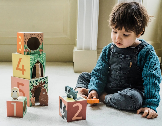 Cele Mai Eficiente Jucării Montessori pentru Dezvoltarea Cognitivă