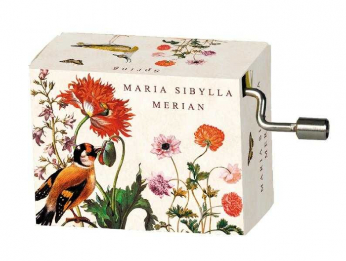Flasneta Maria Sibylla Merian, Fridolin [1]