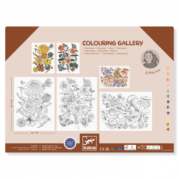 Mapa cu 3 postere de colorat Natura, Djeco [4]