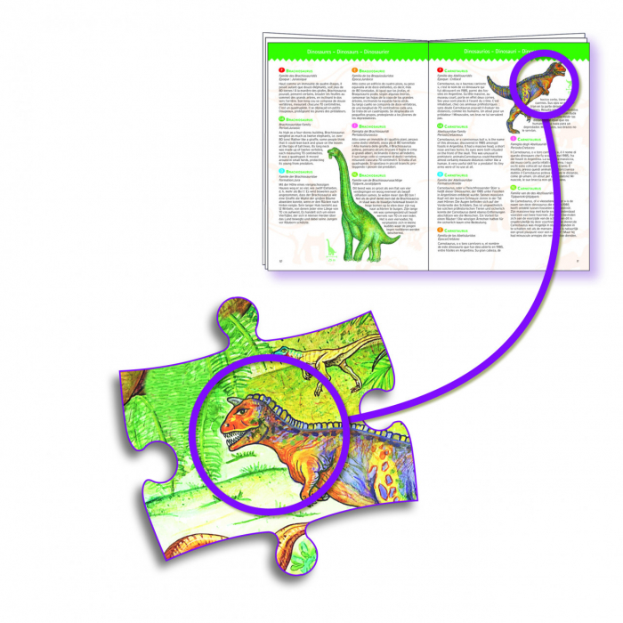 Puzzle observatie - Dinozauri [3]