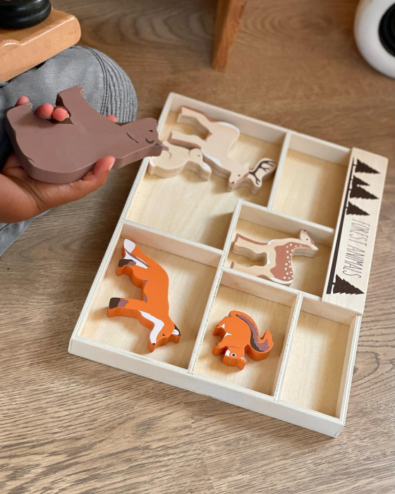 Set 8 Animale de Padure din Lemn [5]