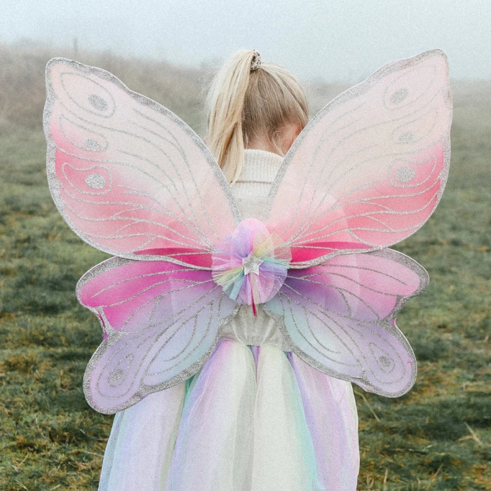 Set fusta si aripi de zana, Souza! [2]