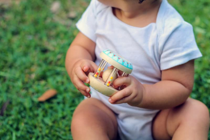 Zornaitoare cu Bile pentru Bebe Djeco Babyshaki [2]