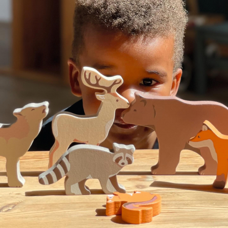 Set 8 Animale de Padure din Lemn [1]