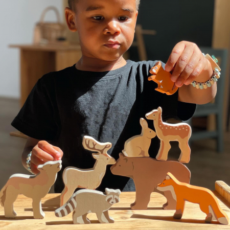 Set 8 Animale de Padure din Lemn [2]