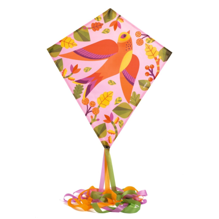 Zmeu Pasare, Djeco [1]