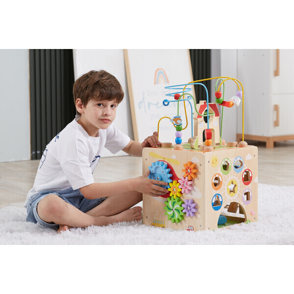 Cub Montessori din lemn 5 în 1 [10]