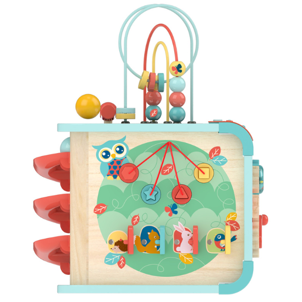 Cub Montessori educativ „Explorează și învață” [9]