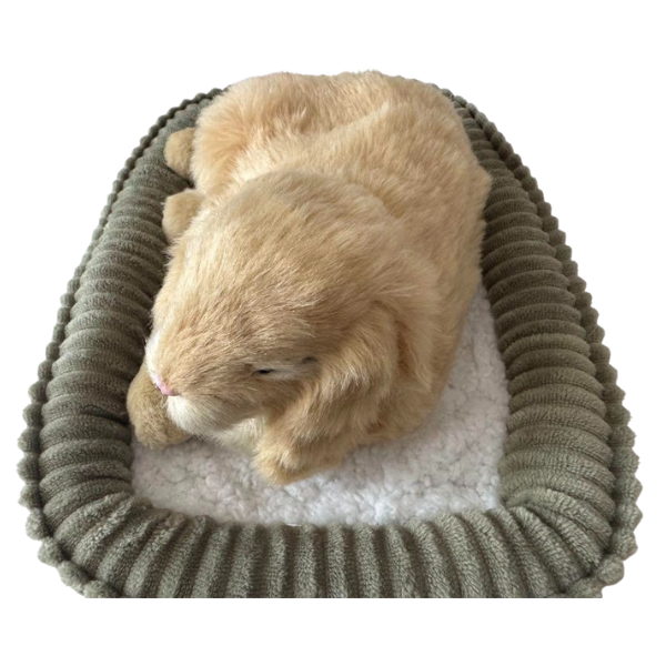 Iepuraș „Minilop” cu imitație de respirație [3]