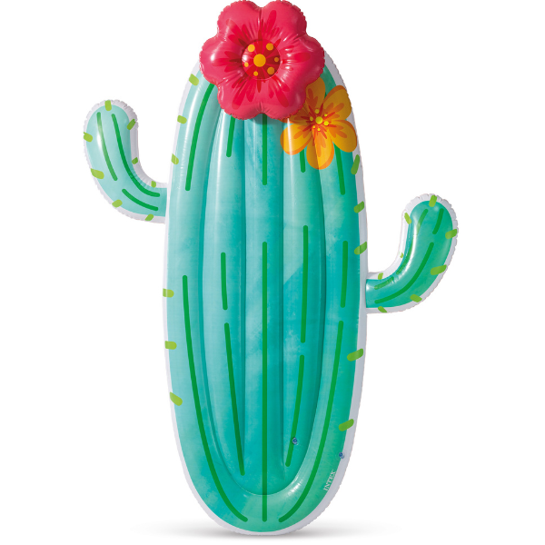 INTEX Plută-saltea gonflabilă "Cactus", 180x135x28 cm, până la 100 kg [1]