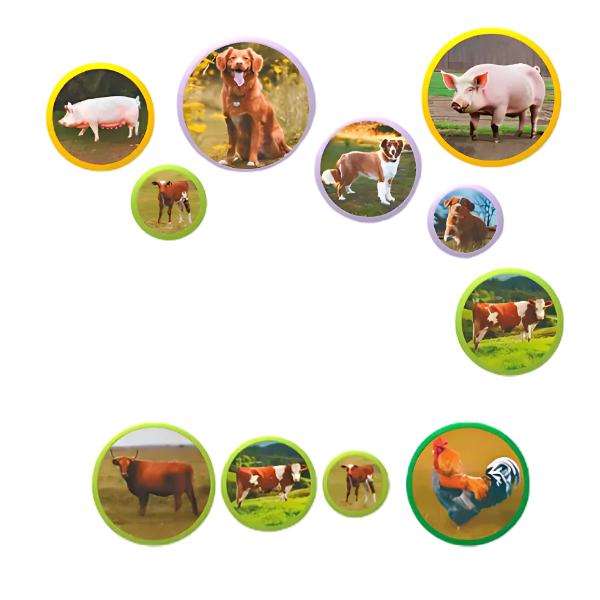 Joc magnetic "Familiile de animale: ferma", 36 elem. [2]