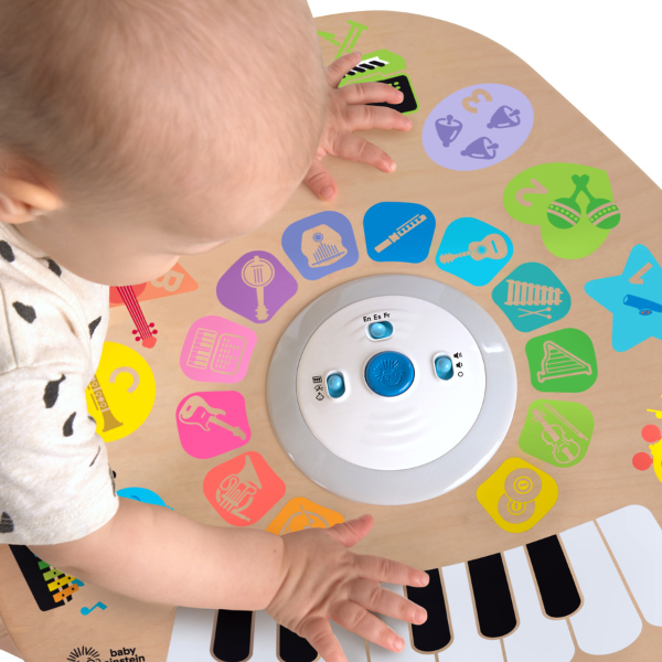 Jucărie educațională Baby Einstein „Compozitor inteligent” [13]
