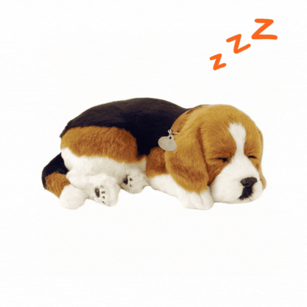 Jucărie interactivă „Beagle” [2]