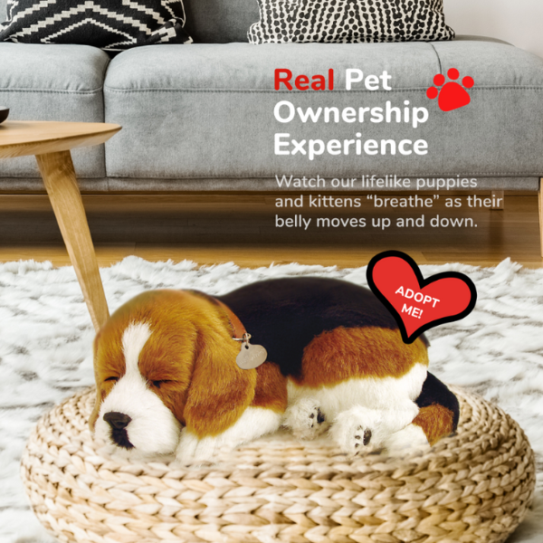 Jucărie interactivă „Beagle” [5]