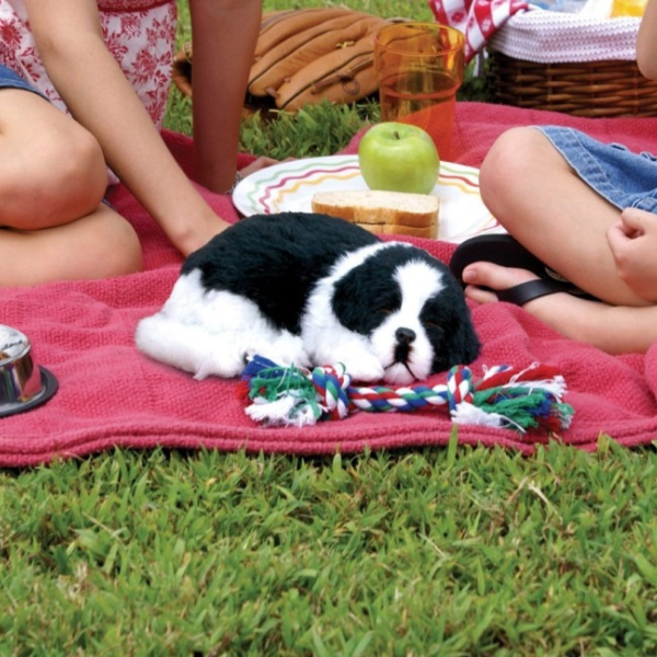 Jucărie interactivă „Border Collie” [8]