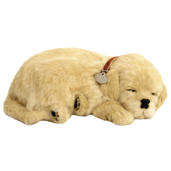 Jucărie interactivă „Golden Retriever” [3]