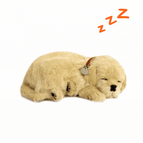 Jucărie interactivă „Golden Retriever” [2]