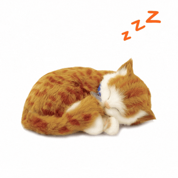 Jucărie interactivă "Pisicuța tabby portocalie" [2]