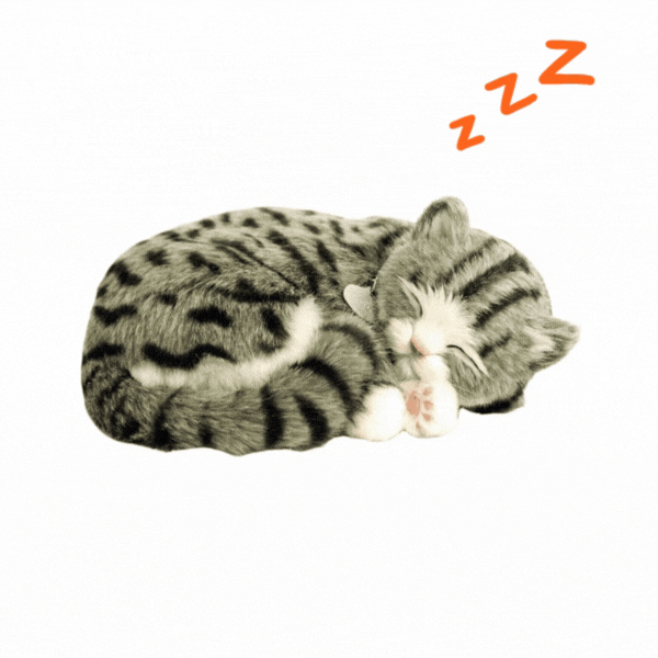 Jucărie interactivă "Pisicuța tabby gri" [2]