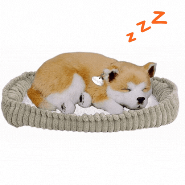 Jucărie interactivă "Shiba-Inu" [2]